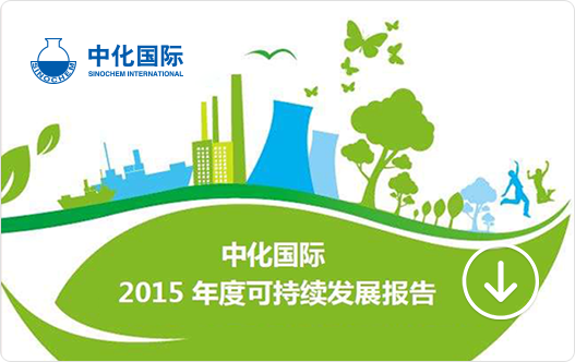 2015�ɳ�����չ�㱨