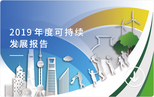 2019�ɳ�����չ�㱨