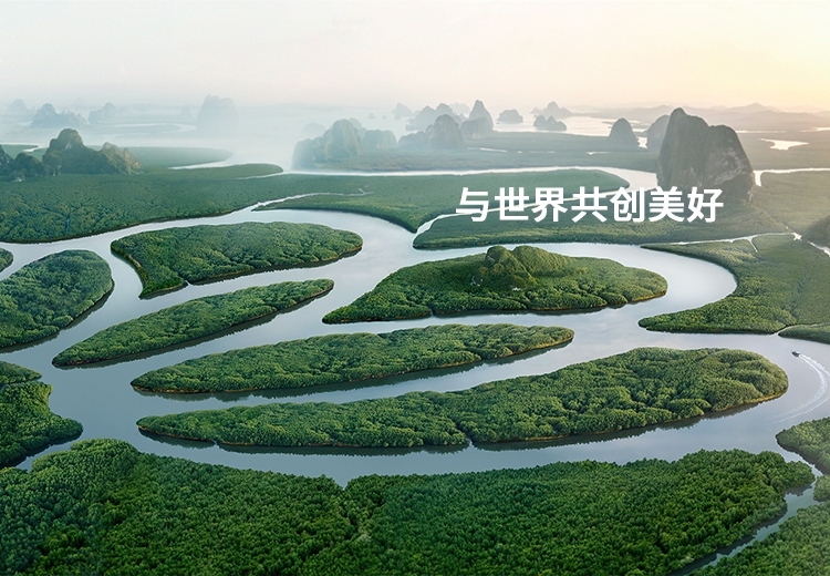 ���ܻ�ѧ ��ɫ����