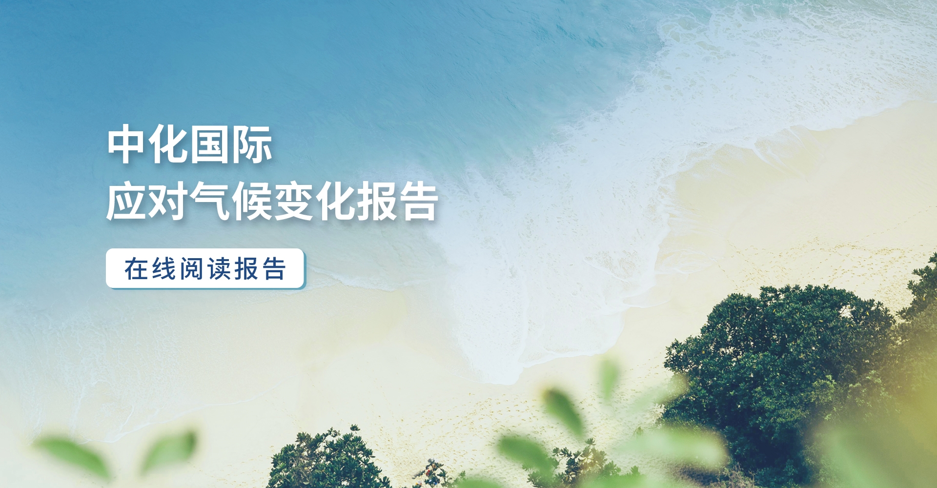 ���ܻ�ѧ ��ɫ����