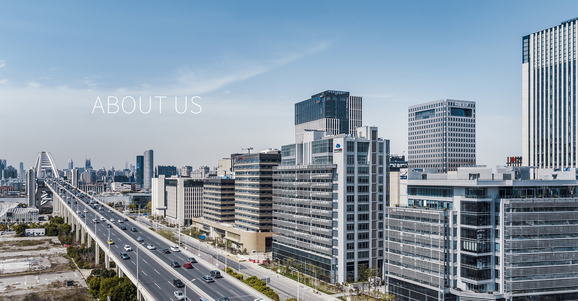 关于bevictor伟德 